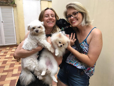 Pare de tratar seu cachorro como se ele fosse um lobo