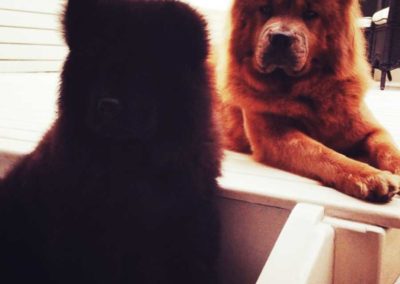 Kira & África