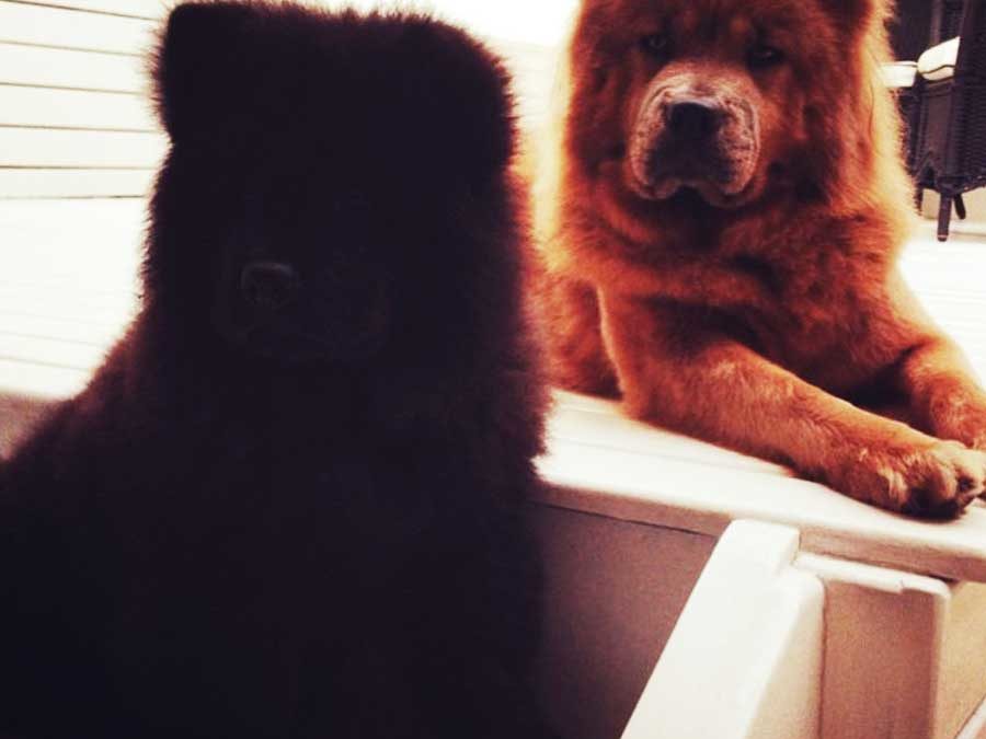 Kira & África