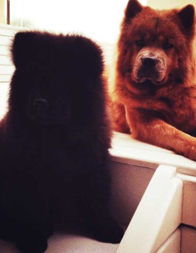banner1-Kira