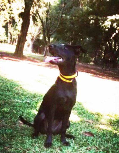 banner1-Tina