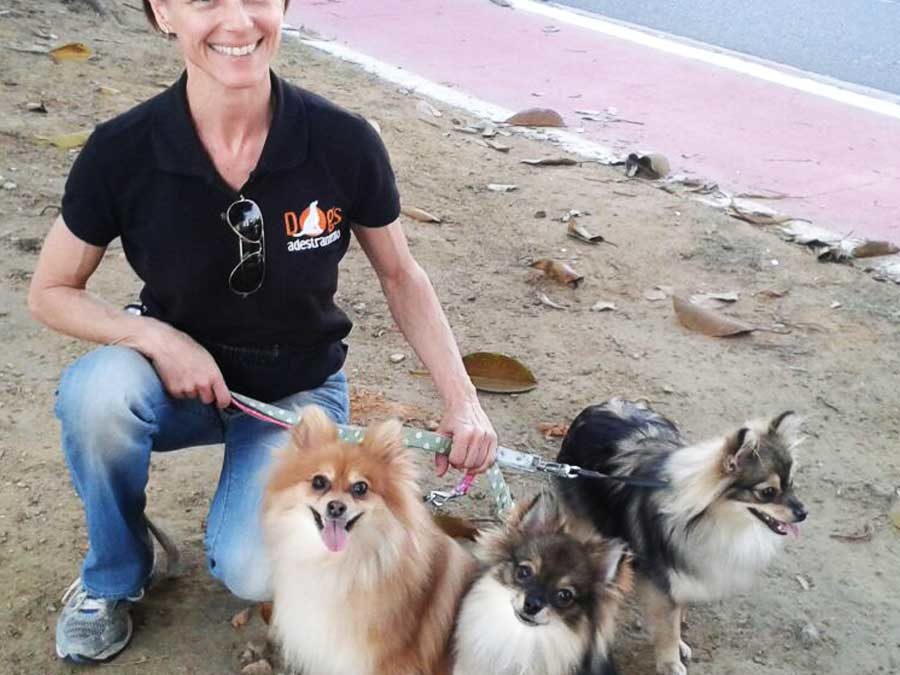 Cães Ciumentos
