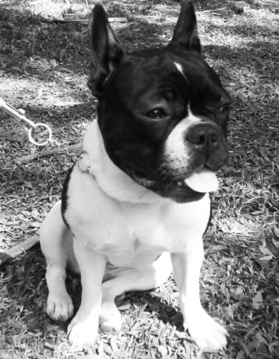 banner3-Lola