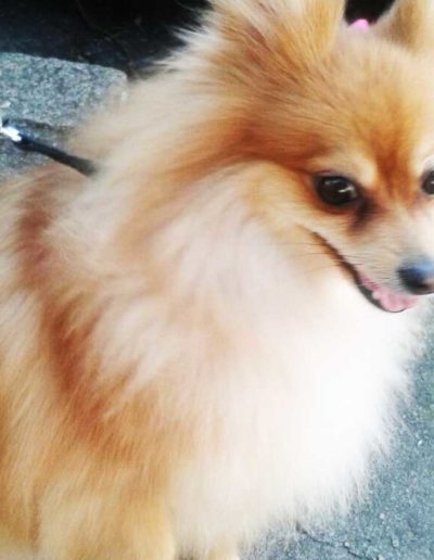banner3-Teca&cia