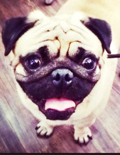 banner4-Pacheco
